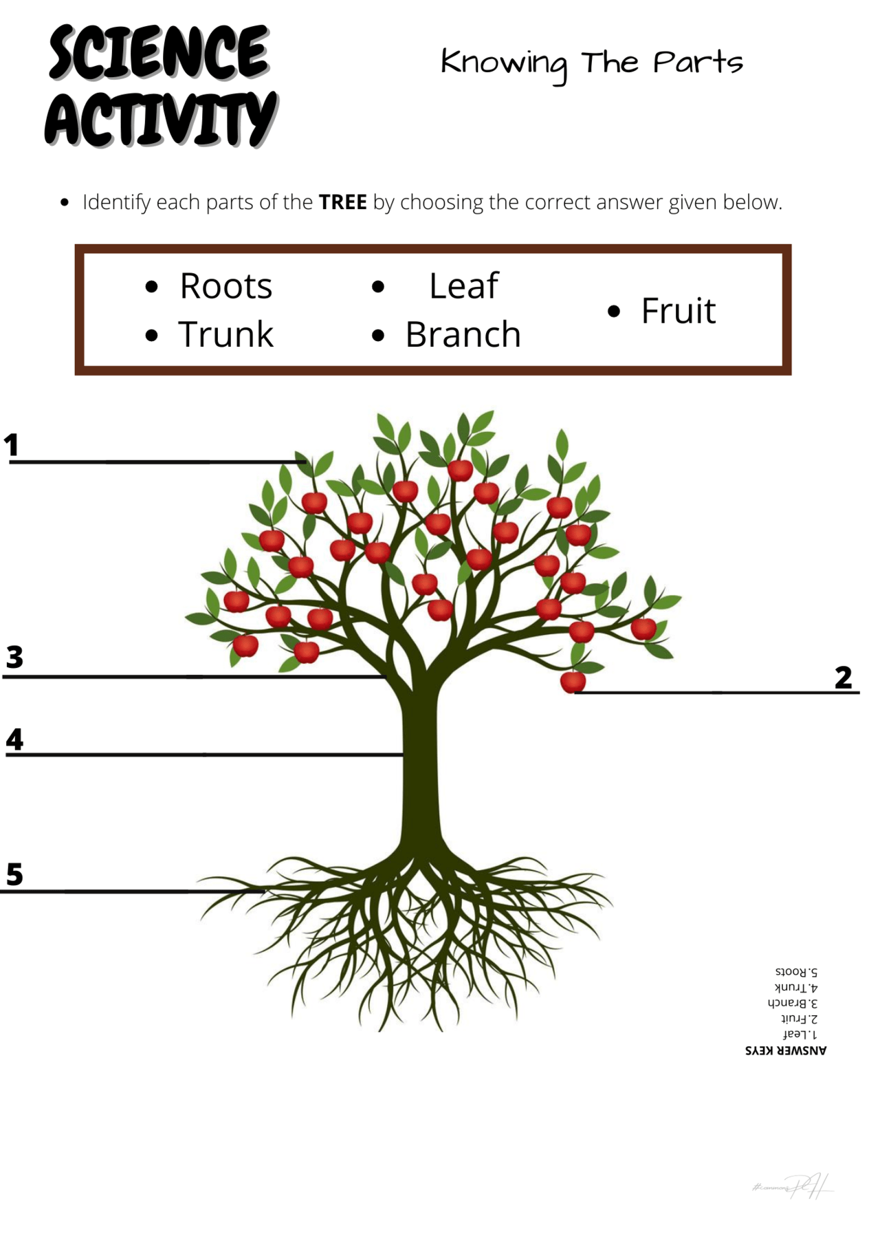 Grade 1 Science Activity Sheets Living And Non Living Things 1